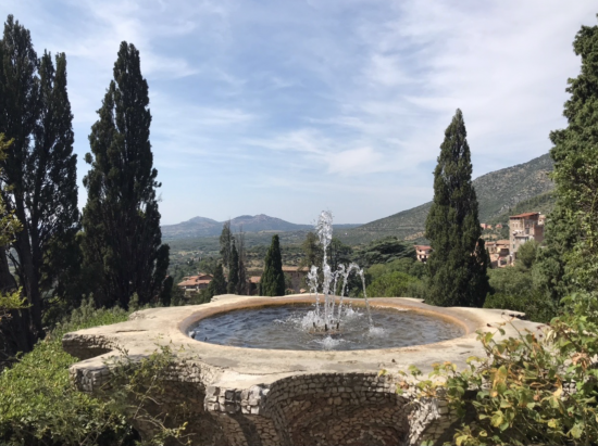 Pandemic, Dread, and Boccaccio’s Decameron